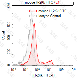 FITC anti-mouse H-2Kk