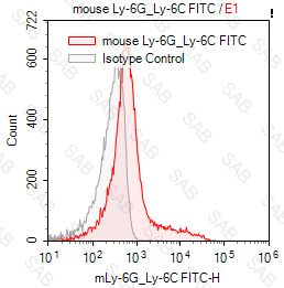 FITC anti-mouse Ly-6G/Ly-6C