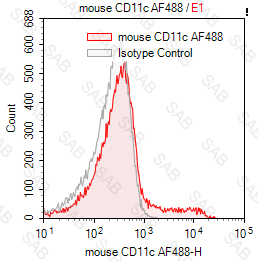 Alexa Fluor 488 anti-mouse CD11c