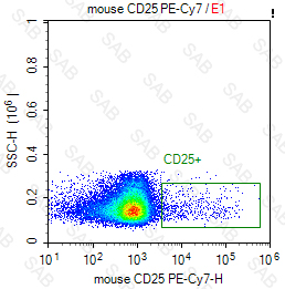 PE-Cy7 anti-mouse CD25