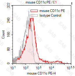 PE anti-mouse CD11c