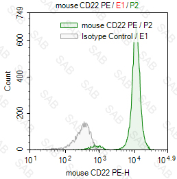 PE anti-mouse CD22