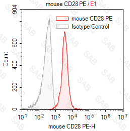 PE anti-mouse CD28