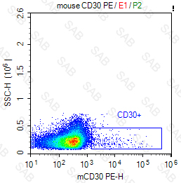 PE anti-mouse CD30