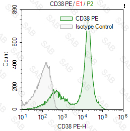 PE anti-mouse CD38