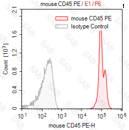 PE anti-mouse CD45