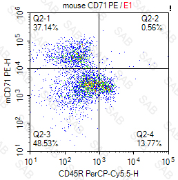 PE anti-mouse CD71