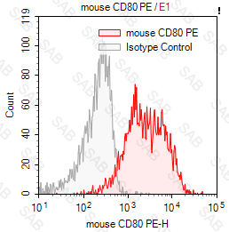 PE anti-mouse CD80