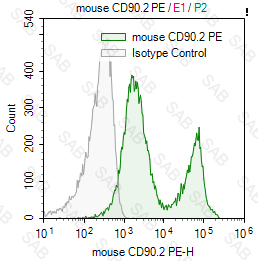 PE anti-mouse CD90.2