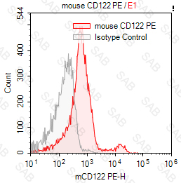 PE anti-mouse CD122