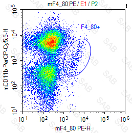 PE anti-mouse F4/80