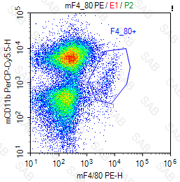 PE anti-mouse F4/80