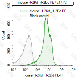 PE anti-mouse H-2Kd/H-2Dd