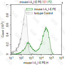 PE anti-mouse I-A/I-E