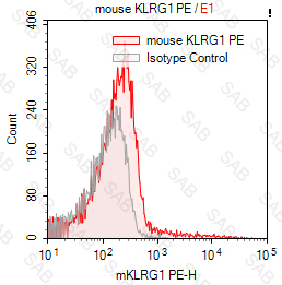 PE anti-mouse KLRG1