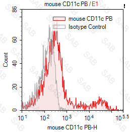 Pacific Blue anti-mouse CD11c