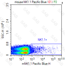 Pacific Blue anti-mouse NK1.1