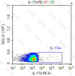 PE anti-human IL-17A