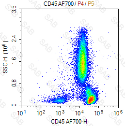 Alexa Fluor 700 anti-human CD45