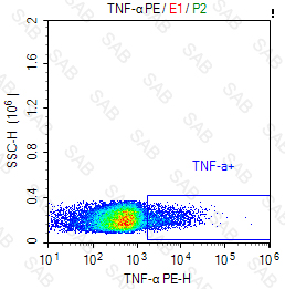 PE anti-human TNF-α