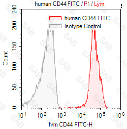 FITC anti-human/mouse CD44