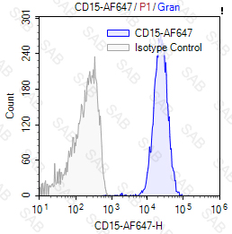 Alexa Fluor 647 anti-human CD15