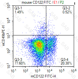 FITC anti-mouse CD122
