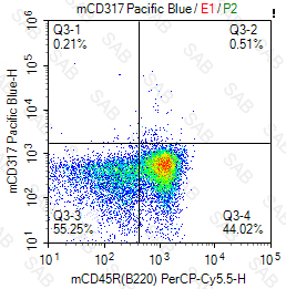 Pacific Blue anti-mouse CD317