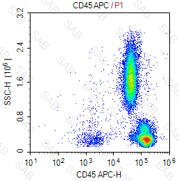 APC anti-human CD45