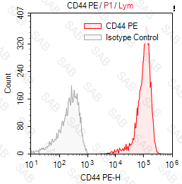 PE anti-human/mouse CD44