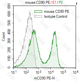 PE anti-mouse CD90