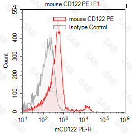 PE anti-mouse CD122