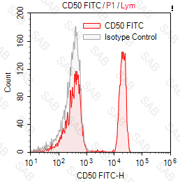 FITC anti-human CD50