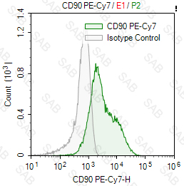 PE-Cy7 anti-human CD90