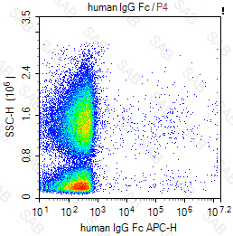 APC anti-human IgG Fc