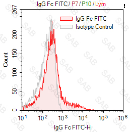 FITC anti-human IgG Fc