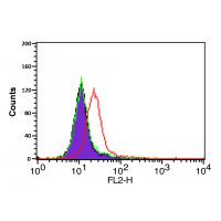 CXCR4 Antibody