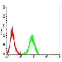 ITGB5 Mouse Monoclonal Antibody