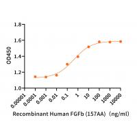 Recombinant Human Fibroblast Growth Factor 2,FGF-2,FGFb (Gly132-Ser288)