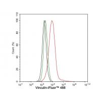 Vinculin Rabbit mAb